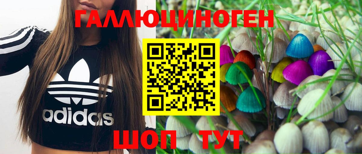 Псилоцибиновые грибы Psilocybe Рассказово